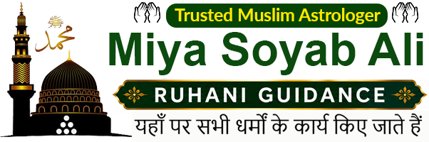 Miya Soyab Ali
